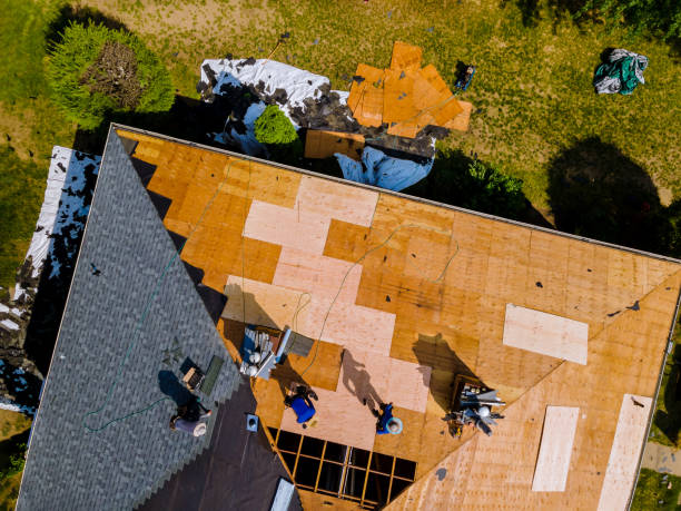 Best Roof Maintenance Services  in Prudenville, MI