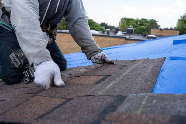 Best Roof Replacement Cost  in Prudenville, MI